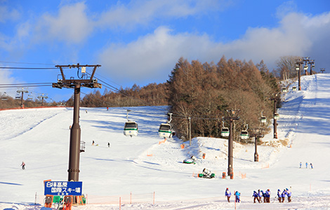白樺国際スキー場